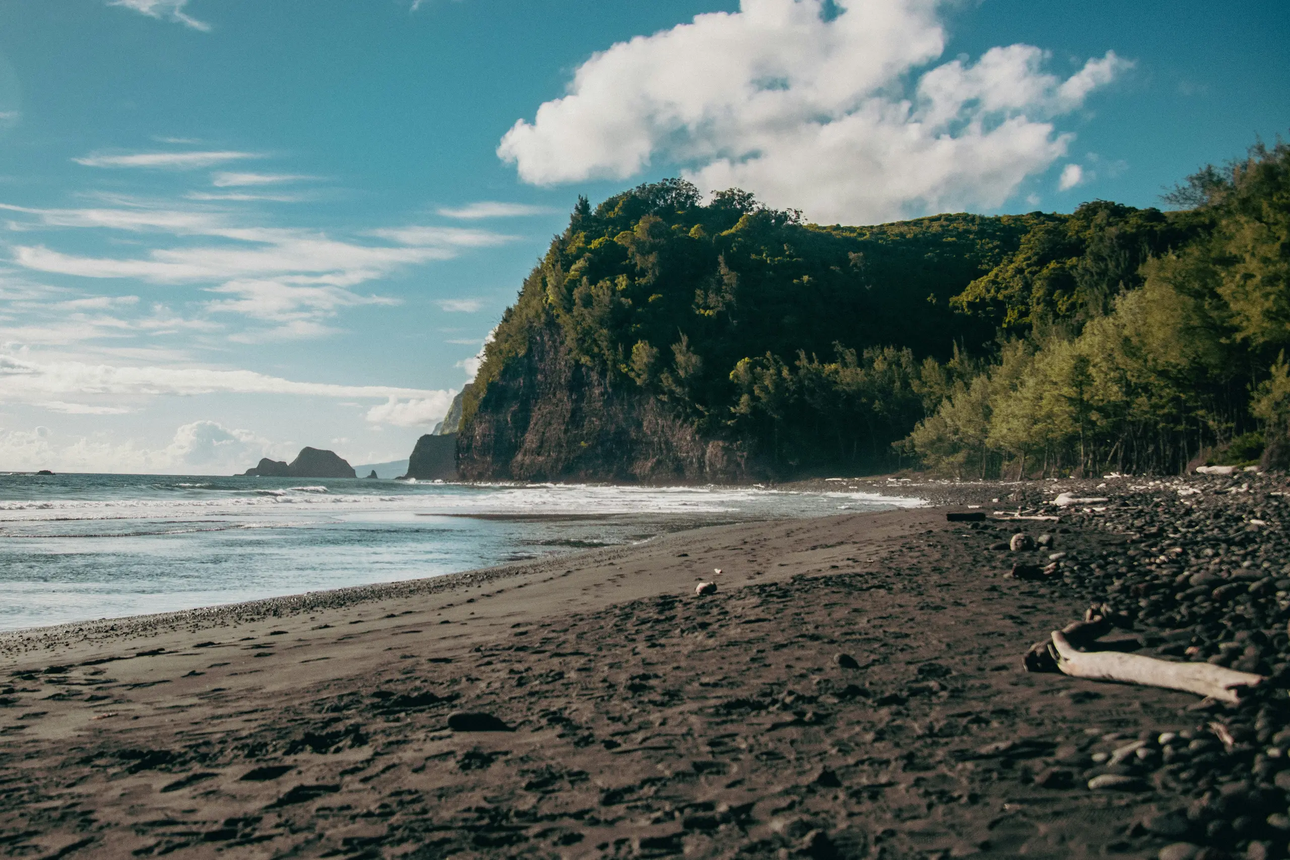 Big Island wellness landscape