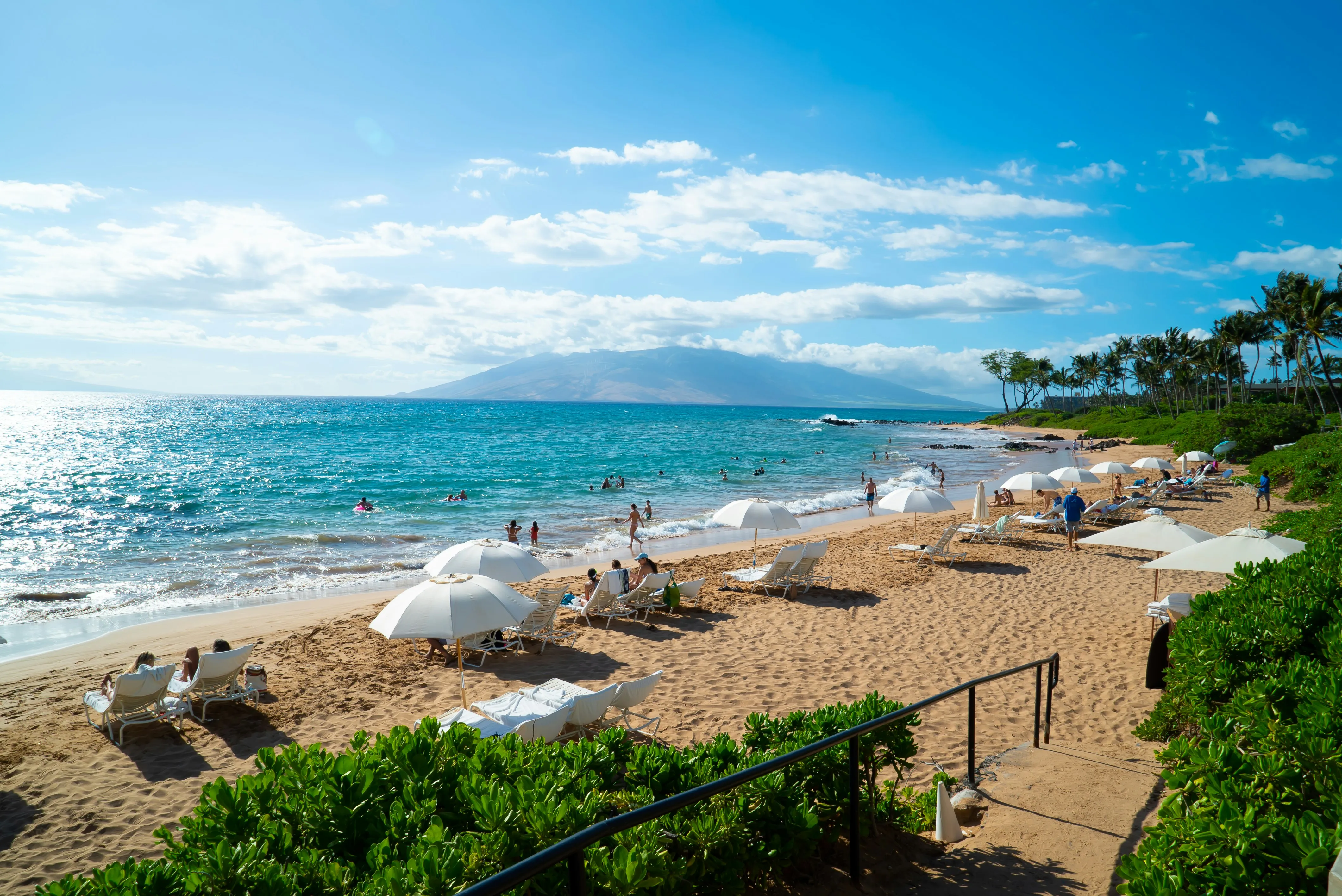 Maui wellness landscape